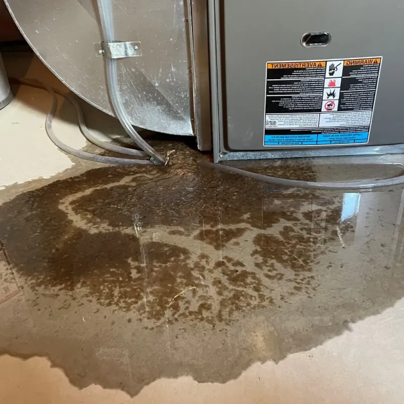 Pipe Burst and Leak Restoration in Rio Lajas, PR